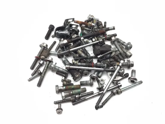 Misc Bolt Kit 2009 Harley-Davidson Fatboy FLSTF 2979A