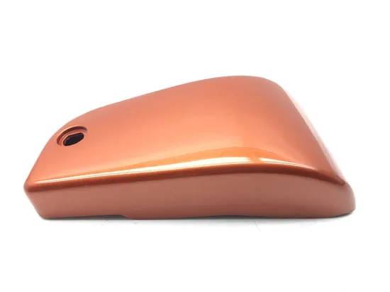 Left Side Cover 1997 Kawasaki Vulcan 1500 VN1500D Classic 2976A x