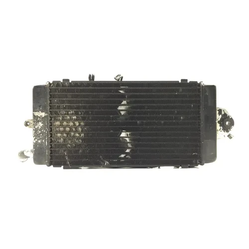 Radiator Cooling Front Fluid W Fan 1999 Honda Shadow Aero 1100 VT1100C3 2986A x 3