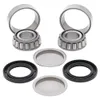 All Balls Swing Arm Bearing Shaft Seal Rebuild Kit for Honda 250-1800