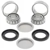 All Balls Swing Arm Bearing Shaft Seal Rebuild Kit for Honda 250-1800