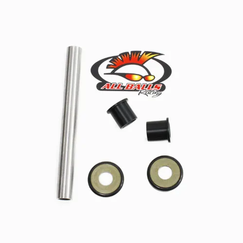 All Balls Swing Arm Bearing Shaft Seal Rebuild Kit for Honda 80-100