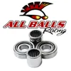 All Balls Swingarm Bearing Kit