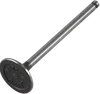 ProX Steel Engine Exhaust Valve