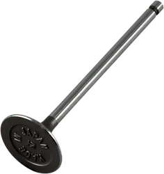 Pro X Steel Intake Valve