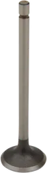 ProX Steel Engine Exhaust Valve