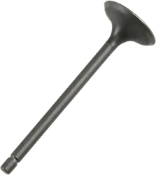Pro X Steel Engine Intake Valve