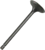 Pro X Steel Engine Intake Valve