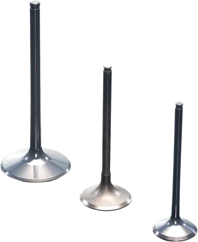 ProX  Titanium Intake Valve