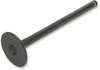 ProX Steel Engine Exhaust Valve
