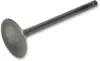 Pro X Steel Engine Intake Valve