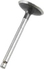 Pro X Steel Engine Intake Valve