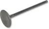 Pro X Steel Engine Intake Valve