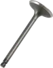 ProX Steel Engine Intake Valve