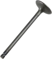 ProX Steel Engine Intake Valve