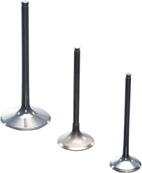 Pro X Titanium Intake Valve