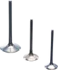 Pro X Titanium Intake Valve