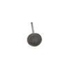 ProX Titanium Engine Exhaust Valve
