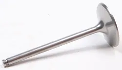 Pro X Titanium Intake Valve
