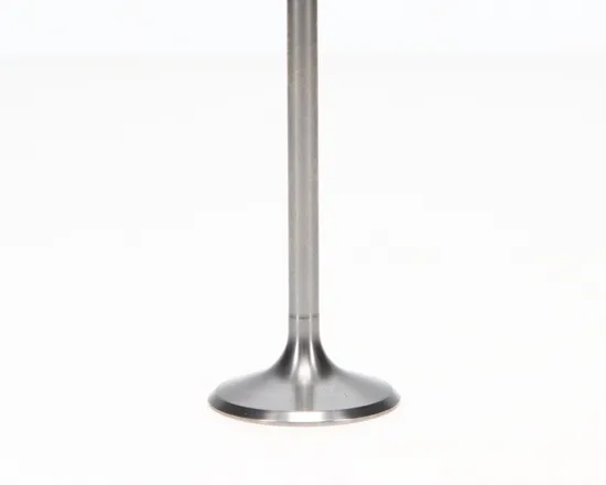 Pro X Titanium Intake Valve