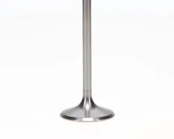 Pro X Titanium Intake Valve