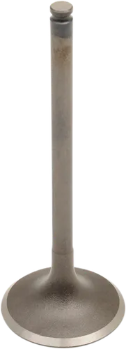 Pro X Steel Engine Intake Valve