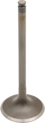 Pro X Steel Engine Intake Valve