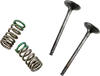 ProX Steel Exhaust Valve and Spring Kit for Yamaha YZ WR 250F