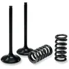 ProX Steel Exhaust Valve and Spring Kit for Suzuki RMZ250