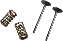 ProX Steel Exhaust Valve and Spring Kit for KX250F RMZ250