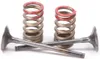 ProX Steel Exhaust Valve and Spring Kit for KX250F RMZ250