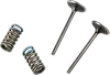 ProX Steel Intake Valve and Spring Kit for Honda CRF250R