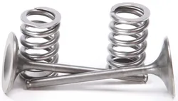 ProX Steel Intake Valve and Spring Kit for Honda CRF450R