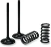 ProX Steel Intake Valve and Spring Kit for Yamaha YZ250F