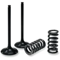 ProX Steel Intake Valve and Spring Kit for Suzuki RMZ250
