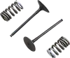 ProX Steel Intake Valve and Spring Kit for Suzuki RMZ250