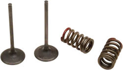 ProX Steel Intake Valve and Spring Kit for KX250F RMZ250