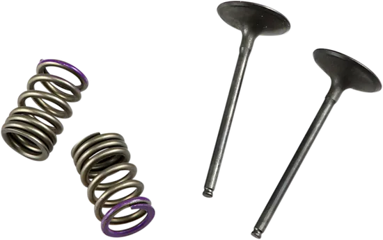 ProX Steel Intake Valve and Spring Kit