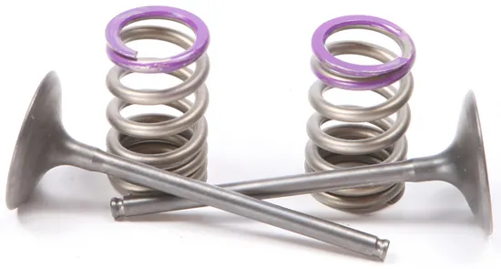 ProX Steel Intake Valve and Spring Kit