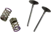 ProX Steel Intake Valve and Spring Kit