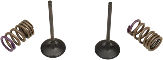ProX Steel Intake Valve and Spring Kit