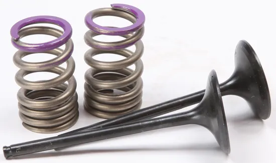 ProX Steel Intake Valve and Spring Kit