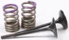 ProX Steel Intake Valve and Spring Kit