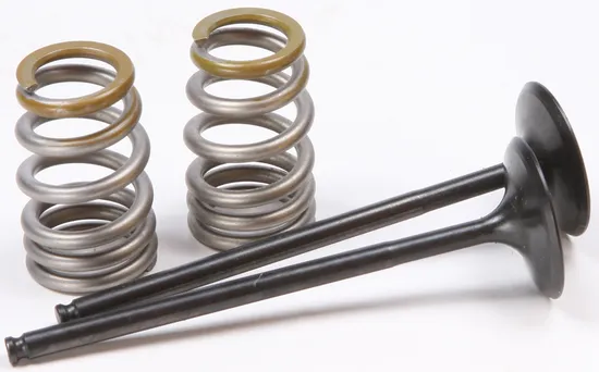 ProX Steel Intake Valve and Spring Kit