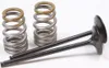 ProX Steel Intake Valve and Spring Kit