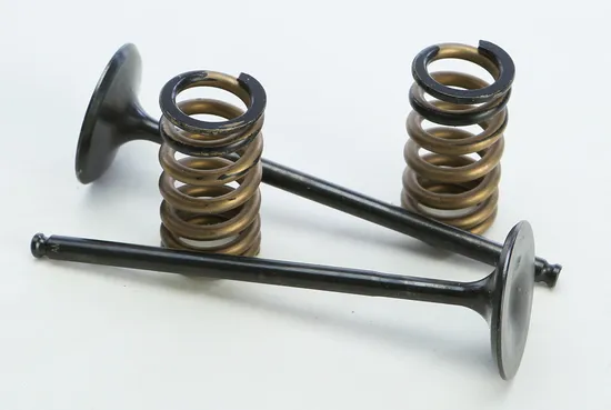 ProX Steel Intake Valve and Spring Kit