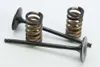 ProX Steel Intake Valve and Spring Kit
