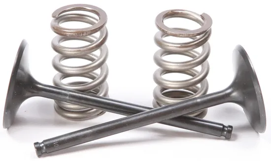ProX Steel Intake Valve and Spring Kit