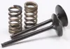 ProX Steel Intake Valve and Spring Kit