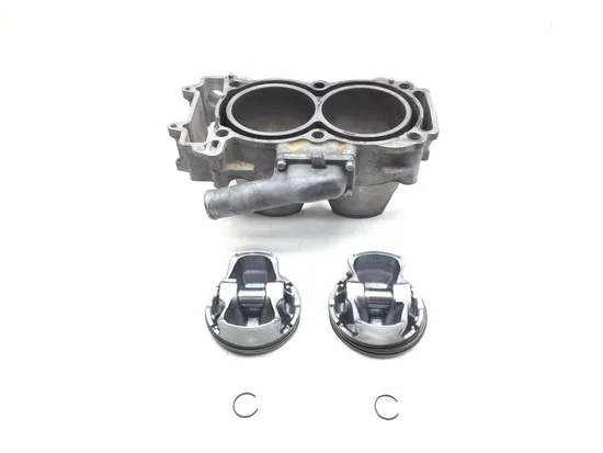 Engine Cylinder Jug W Piston 2017 Polaris Ranger XP 1000 High Lifter 2954A PARTS 1